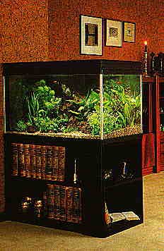 Aquarium