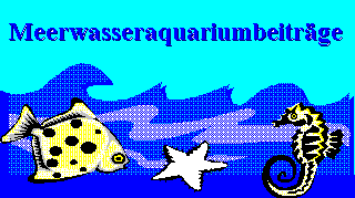 Meerwasseraquariumbeitr&auml;ge